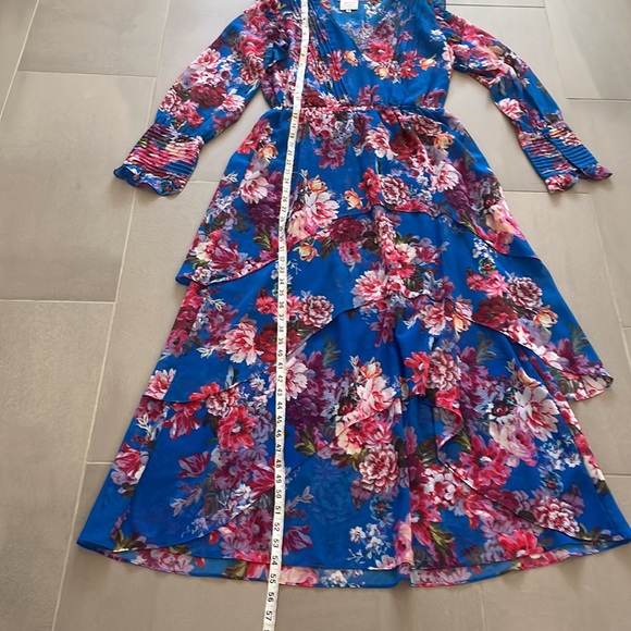 MISA Los Angeles floral, tiered, midi/maxi dress, long sleeve - Picture 11 of 16